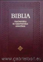 Biblia - Diák 10x15 cm